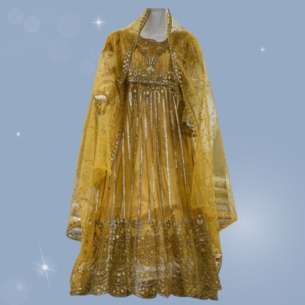 Fancy Readymade 3-Piece Maxi Dress with Net Dupatta – Frog Style Design