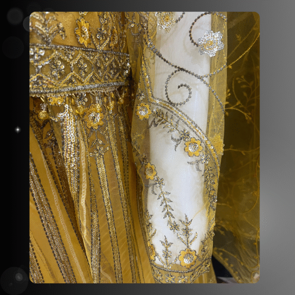 Fancy Readymade 3-Piece Maxi Dress with Net Dupatta – Frog Style Design - Image 4