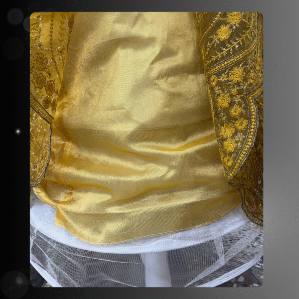 Fancy Readymade 3-Piece Maxi Dress with Net Dupatta – Frog Style Design - Image 6